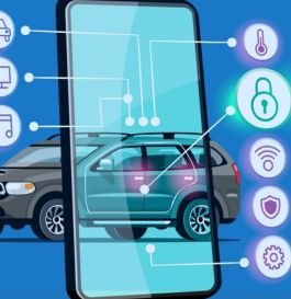 265 Car Management System