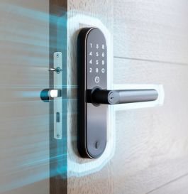 265 Digital Door Locks