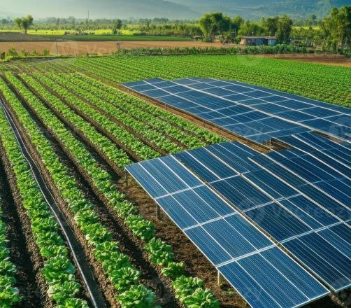 agricultural solar large image 1