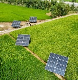agricultural solar small image